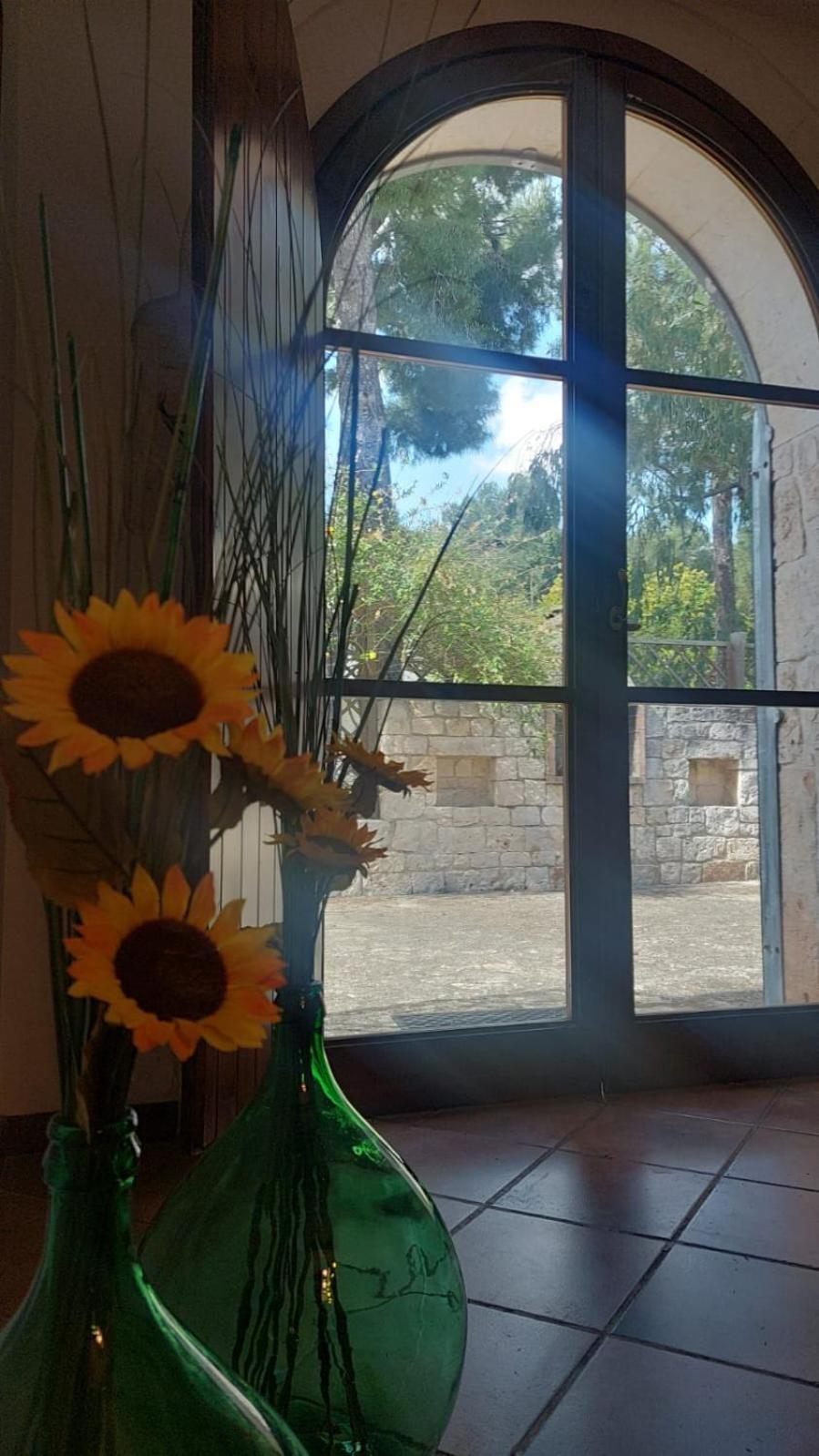 Villa Il Trullo Delle Rose, Monopoli By Il Pumo Di Puglia Cozzana Esterno foto