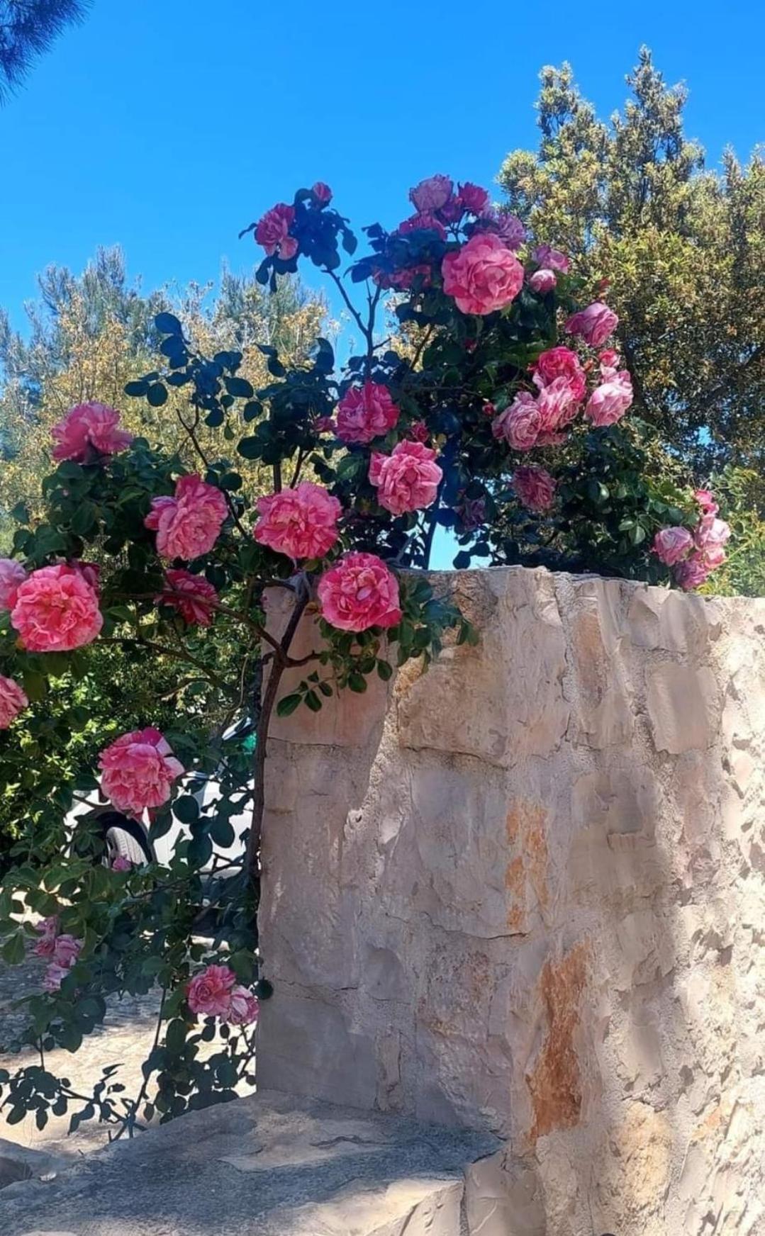 Villa Il Trullo Delle Rose, Monopoli By Il Pumo Di Puglia Cozzana Esterno foto