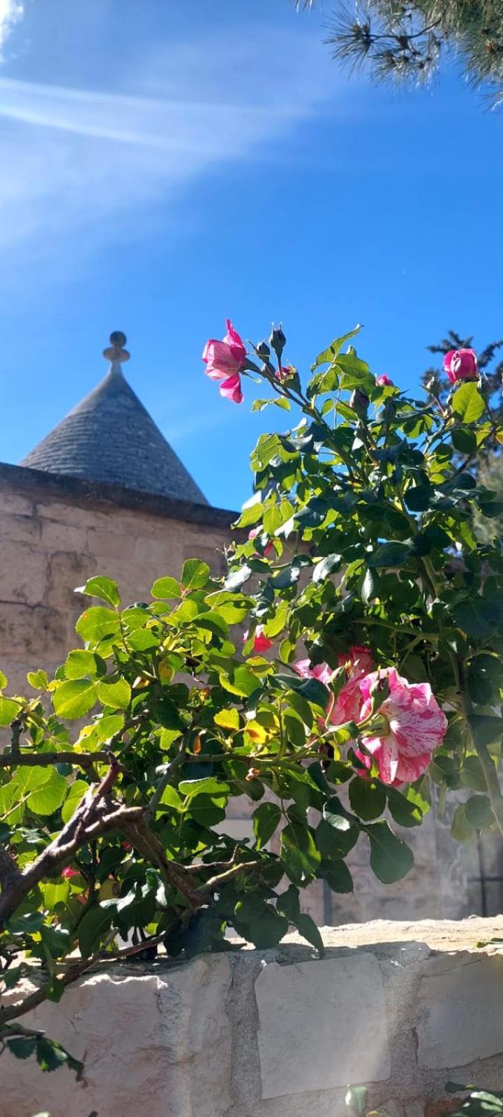 Villa Il Trullo Delle Rose, Monopoli By Il Pumo Di Puglia Cozzana Esterno foto