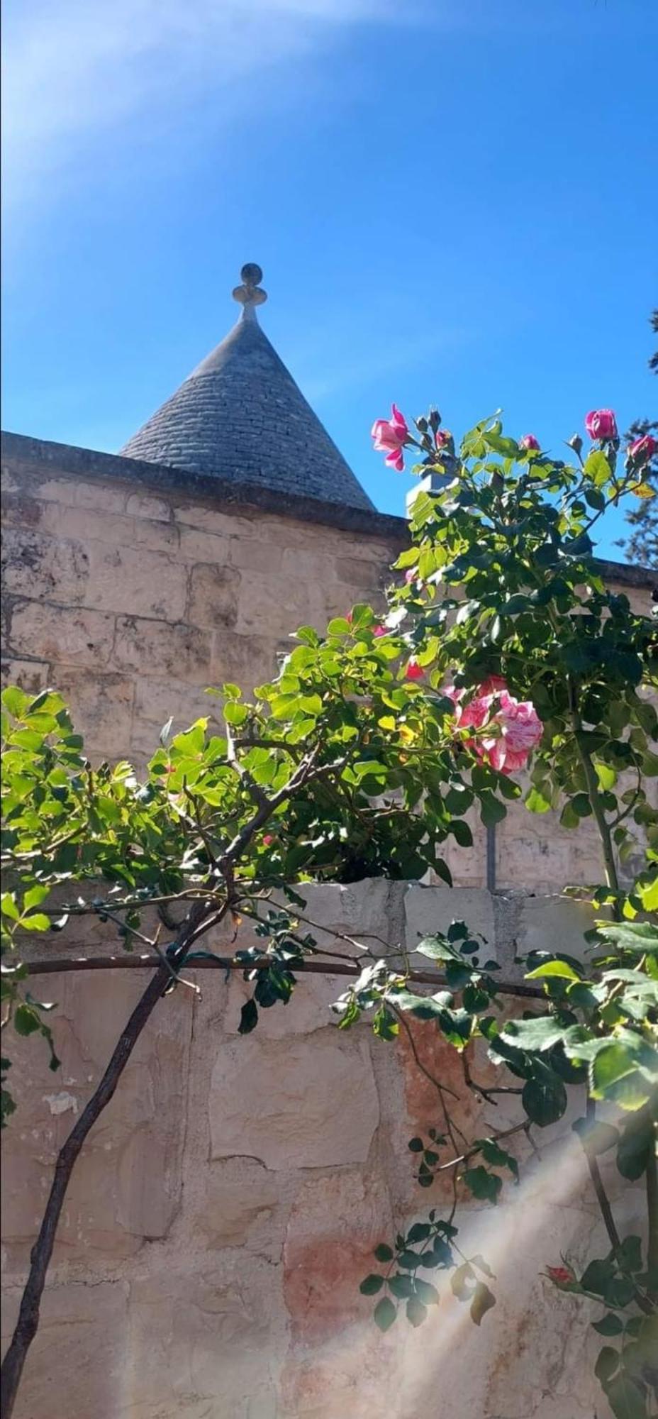 Villa Il Trullo Delle Rose, Monopoli By Il Pumo Di Puglia Cozzana Esterno foto